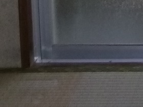 �K���X�|����C���[�Wa21