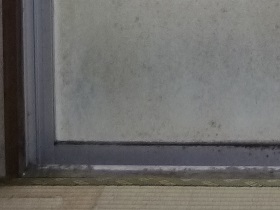 �K���X�|���O�C���[�Wb21